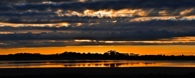 Indented Head2.jpg